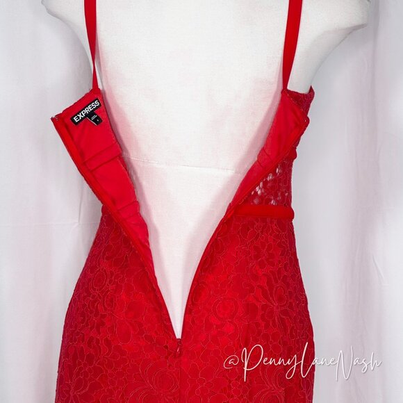 Express Red Piped Lace Midi Sheath Dress - Picture 16 of 16